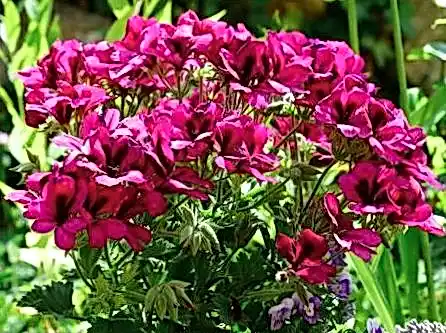 JvSpin скачать 76c6bb